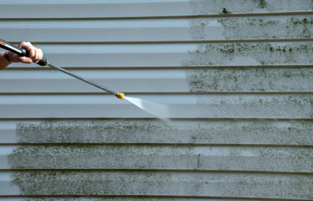 Best House Exterior Washing  in Quinlan, TX